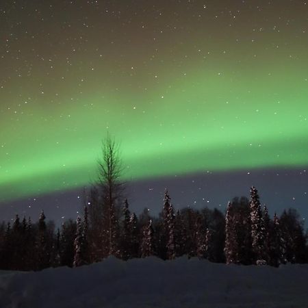 Susitna River Lodging, Backwoods Cabins Talkeetna Buitenkant foto