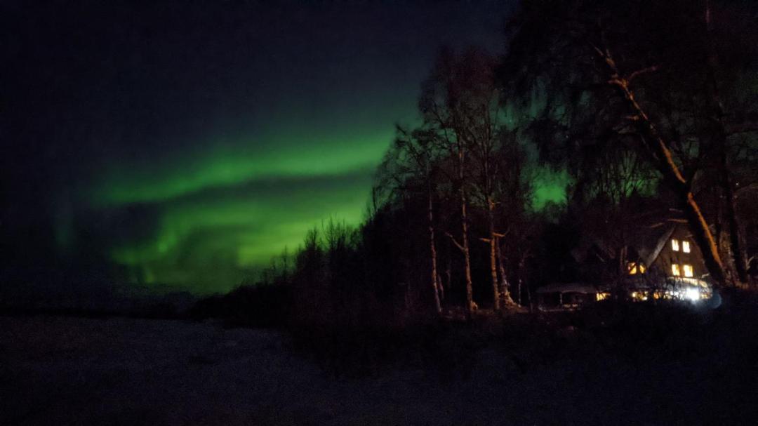 Susitna River Lodging, Backwoods Cabins Talkeetna Buitenkant foto