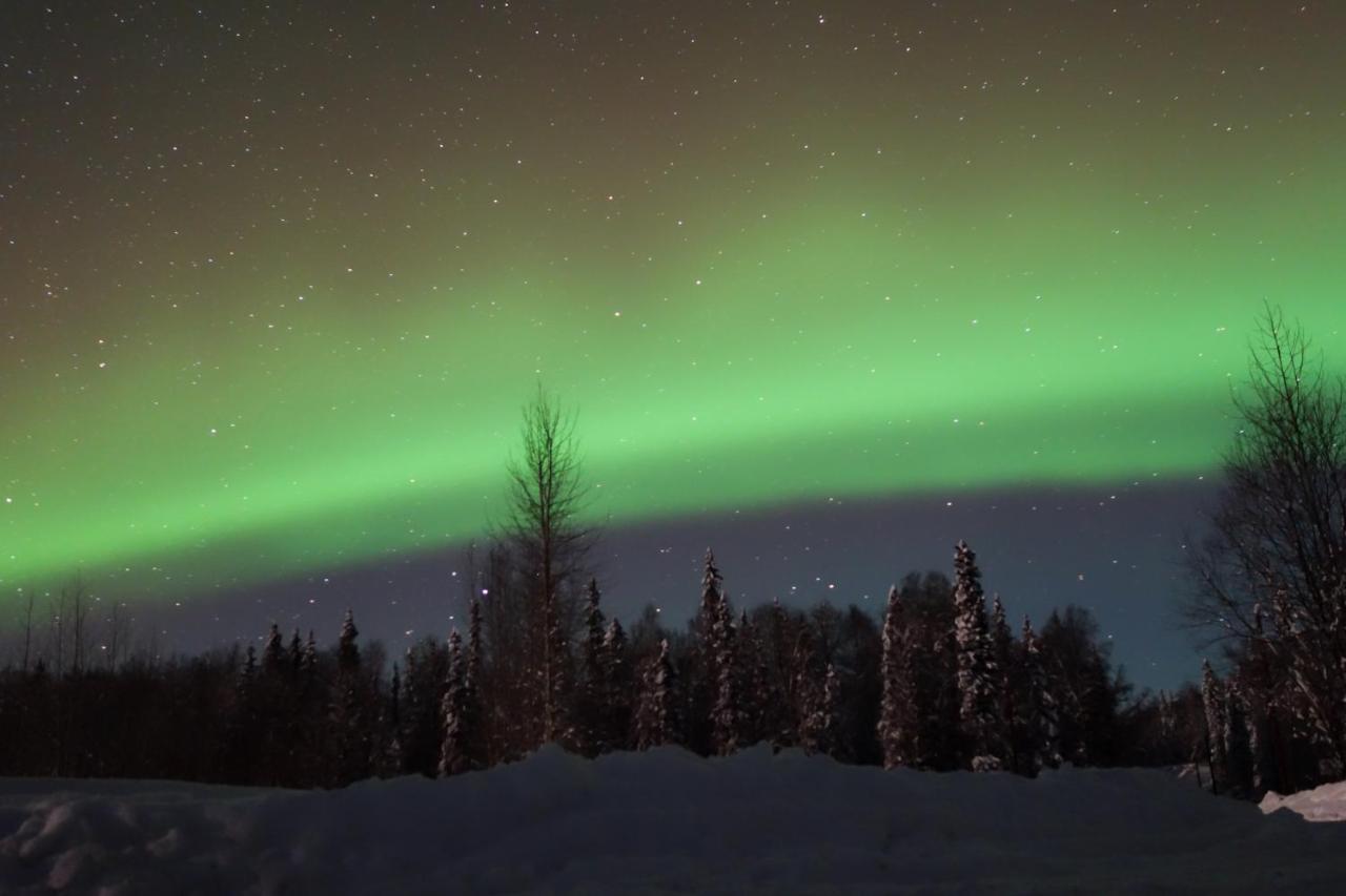 Susitna River Lodging, Backwoods Cabins Talkeetna Buitenkant foto